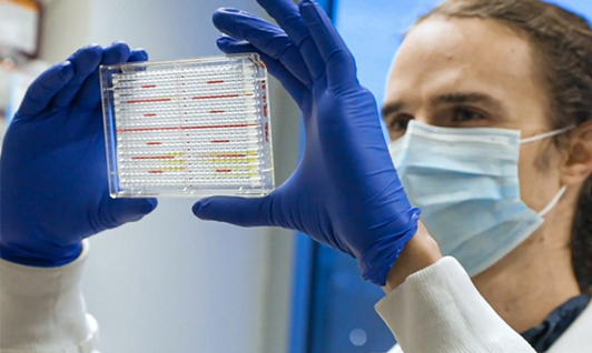 Scientist Looking at Panel